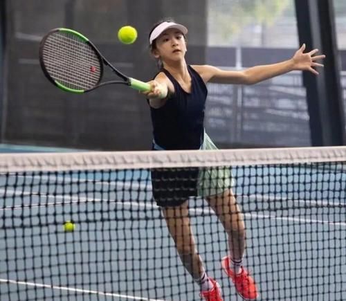 从而为其他 从而为其他