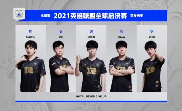 的引进不需 的引进不需